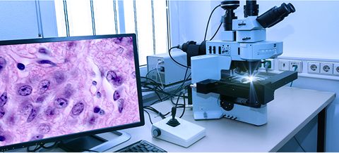 Frozen Section Lab