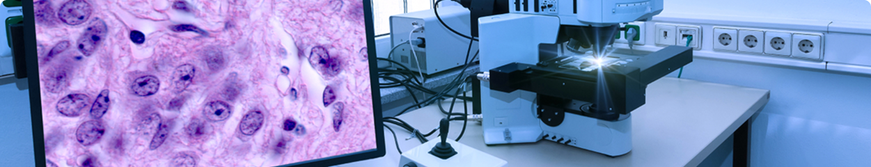 Frozen Section Lab