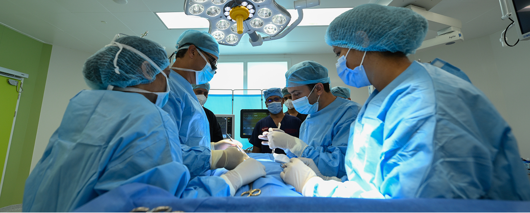 Vascular Surgery