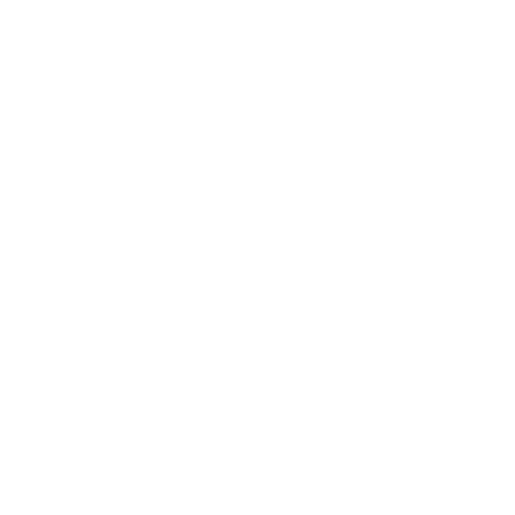 Initial consultation with the medical concierge Team