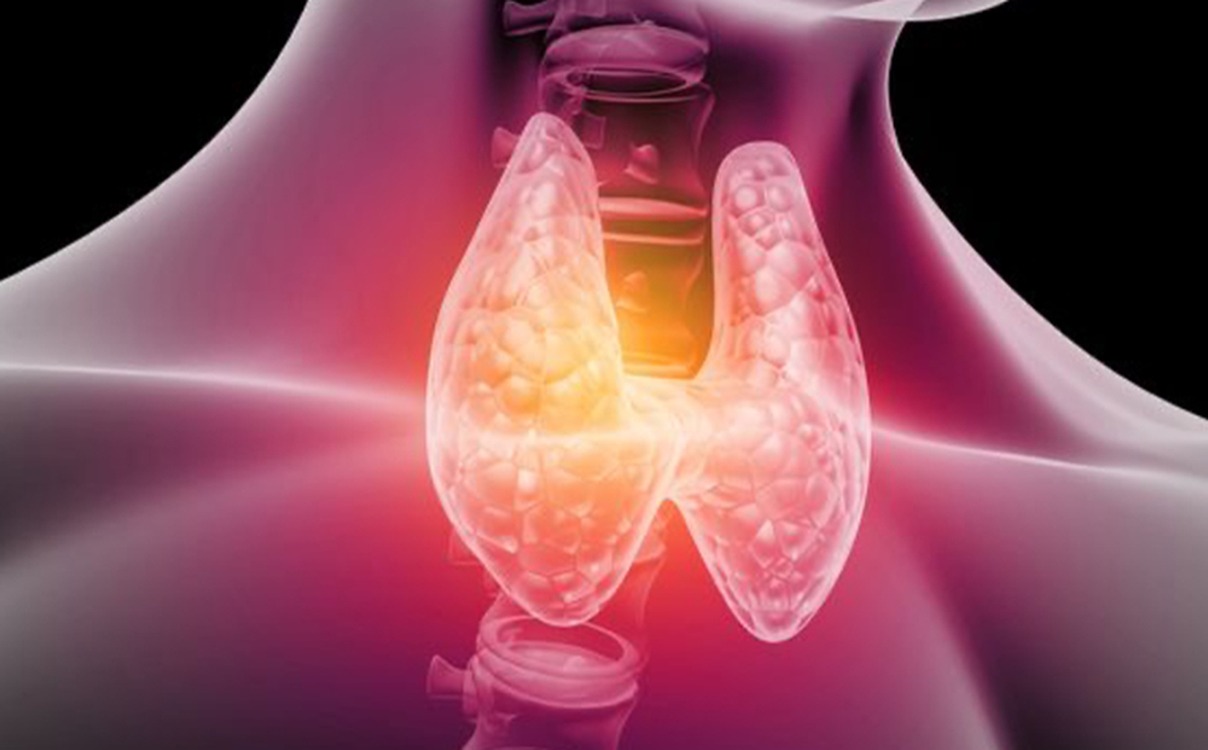 Thyroid & Parathyroid Center