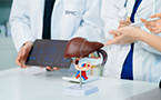 Hepatology