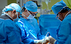 Liver Transplant